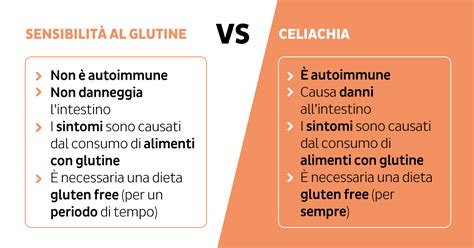 Infografica che elenca i sintomi comuni della sensibilità al glutine
