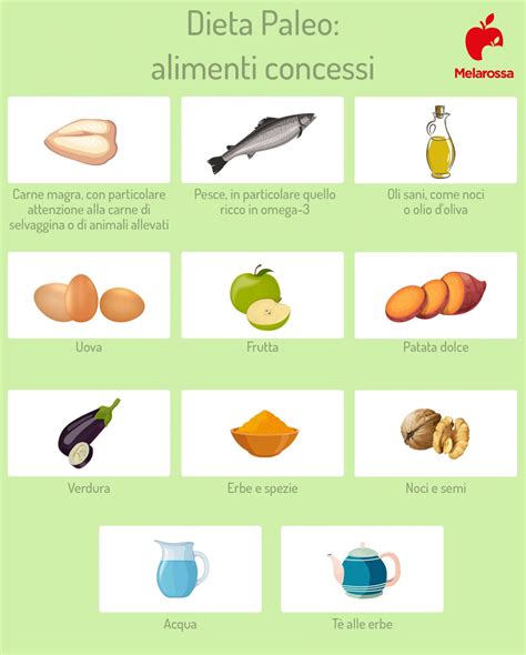 Infografica che compara gli alimenti permessi e quelli vietati nella dieta Paleo e nella dieta AIP