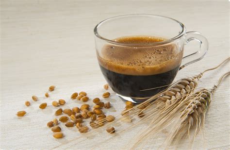 infografica con le diverse modalità di preparazione del caffè d'orzo