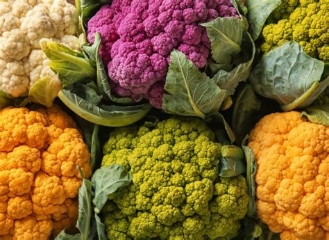 Immagine di un cavolfiore intero e fresco, con diverse varietà di colore visibili.