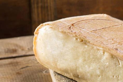 Forma di Taleggio DOP con il marchio a fuoco visibile