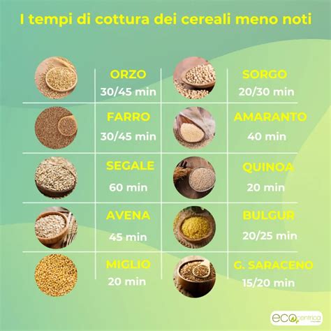 Schema che mostra le diverse modalità di cottura disponibili su un multicooker Moulinex.