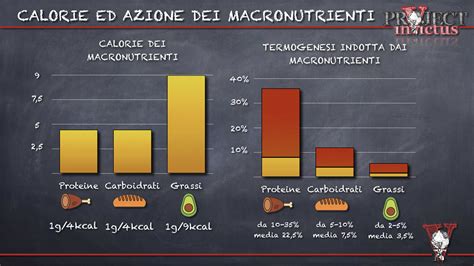 Infografica che confronta le calorie e i macronutrienti del mascarpone, del burro e della panna fresca.