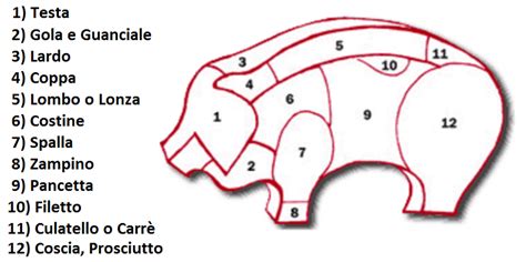 taglio di carne di maiale per arrosto (lonza, carrè, coscia)