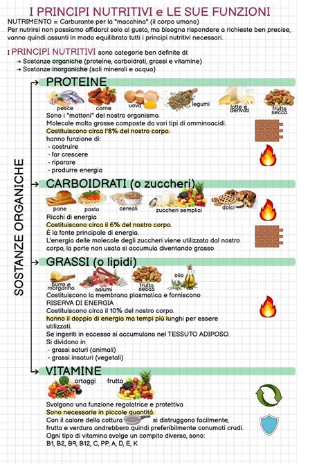 Infografica sui nitriti: funzioni, rischi e regolamentazione negli alimenti.