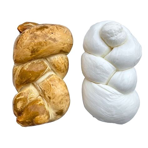 Illustrazione delle diverse forme di mozzarella: tonda, treccia, bocconcini, zizzona.