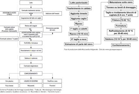 Schema del processo di produzione della mozzarella: coagulazione, rottura cagliata, filatura, formatura, salatura.