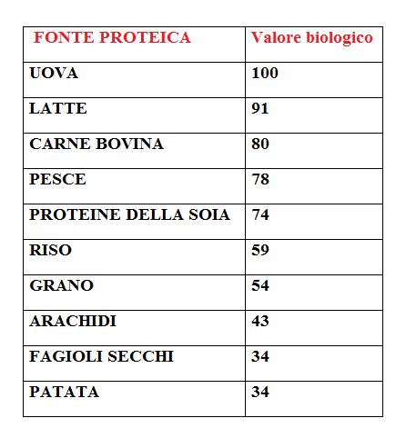 Grafico comparativo del valore biologico di diverse fonti proteiche, con l'uovo al vertice.