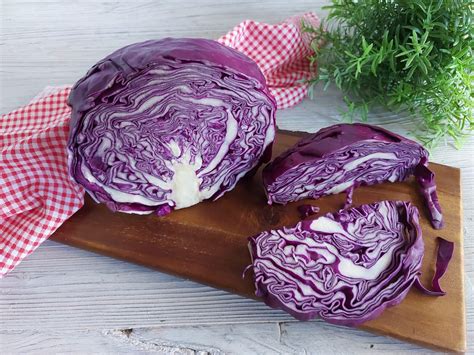 Verza viola fresca disposta a cerchio con foglie aperte