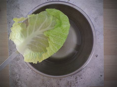 foglie di verza sbollentate e scolate