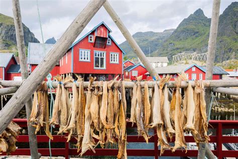 Paesaggio delle isole Lofoten con rastrelliere per l'essiccazione del pesce