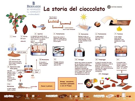 Schema del processo di percezione del gusto del cioccolato fondente