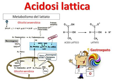 Infografica sui sintomi e le cause dell'acidosi lattica