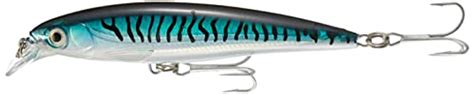 Selezione di esche naturali e artificiali per la pesca al barbo