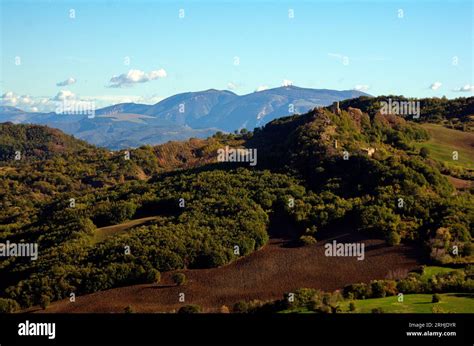 Vista panoramica di Massarella con le colline toscane sullo sfondo