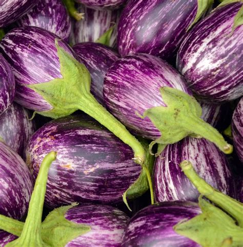 Varietà di melanzane con diversi colori e forme