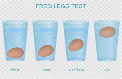 diagramma che illustra il test del galleggiamento delle uova in acqua salata