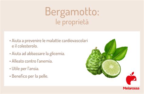 Infografica sulle proprietà benefiche del bergamotto