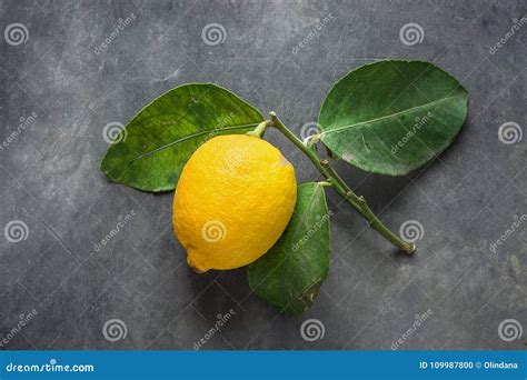 giallo limone maturo su un tagliere di legno con sale grosso e foglie di alloro