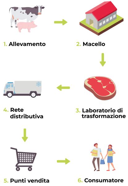 Schema della filiera di distribuzione del pomodoro fresco e confezionato
