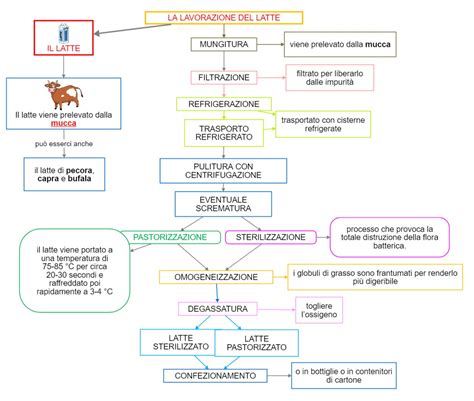 Schema dettagliato del processo di preparazione del latte di soia, dall'ammollo al filtraggio.