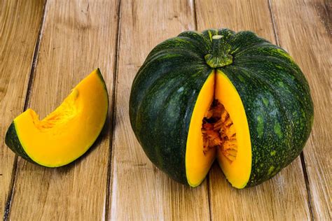 forma della zucca Delica, con buccia verde striata e forma schiacciata