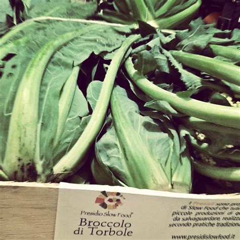 Immagine stilizzata del broccolo di Torbole, definito 