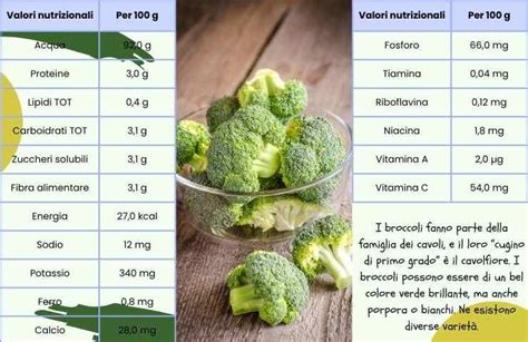 Infografica sui benefici nutrizionali dei broccoli