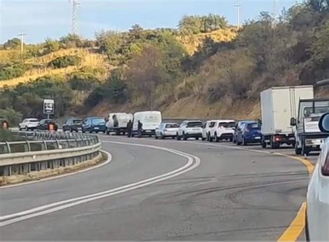 strada bloccata da polli morti