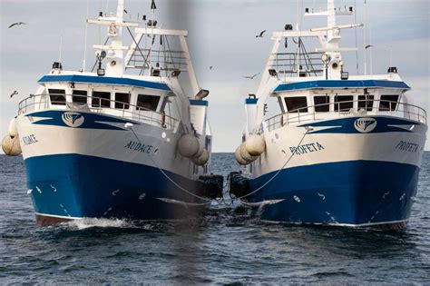 Immagine storica di una flotta di pescherecci portoghesi per la pesca del merluzzo