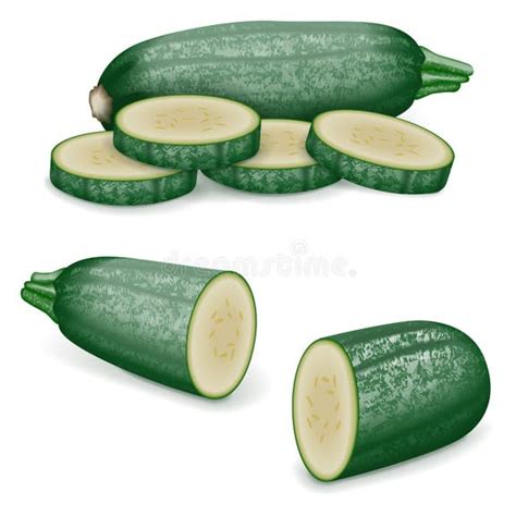 Illustrazione di zucchine tonde intere e tagliate a metà per mostrare la forma sferica.