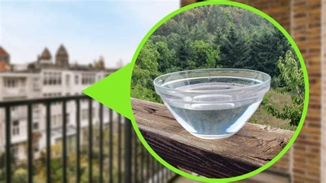 donna che immerge una frisella in una ciotola d'acqua