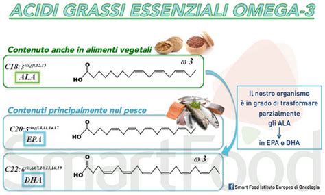 Infografica che illustra i benefici degli acidi grassi Omega-3 per la salute dei gatti, con focus su cervello, vista e articolazioni.