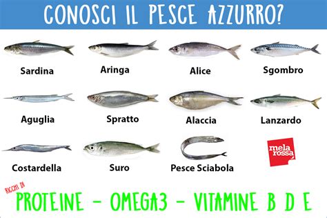 Illustrazione di diversi tipi di pesce (merluzzo, salmone, sardine) con etichette che indicano i loro benefici nutrizionali per i gatti.