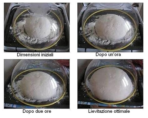 Schema che illustra le fasi di lievitazione dell'impasto, dal raddoppio iniziale alla preparazione per la formatura dei panini.