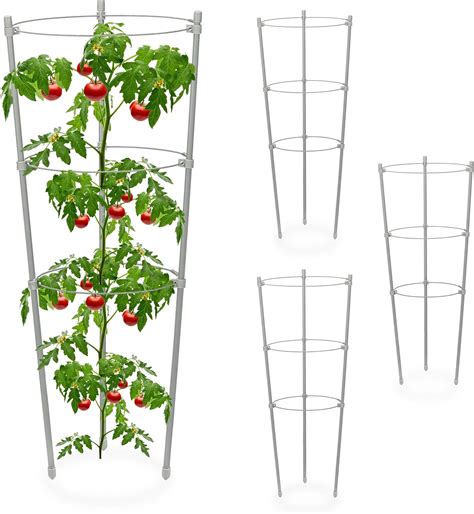 Schema che illustra i diversi tipi di sostegni per piante da orto, con enfasi su pomodori, peperoni e melanzane.