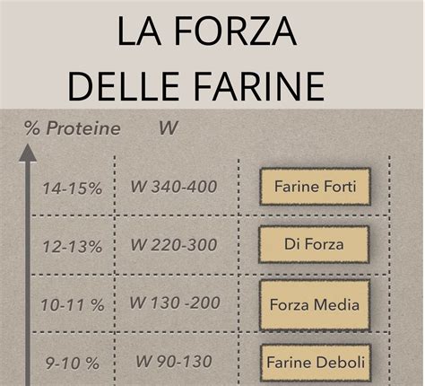 Schema dei principi di idratazione e forza delle farine per la focaccia di Bonci