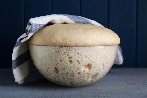 Infografica sulla lievitazione dell'impasto per brioche