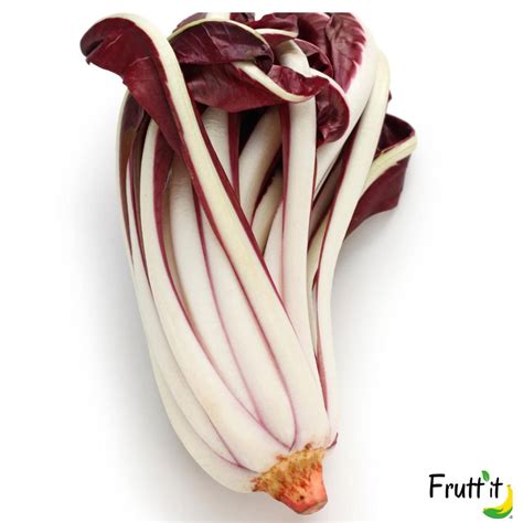 Immagine di cespi di radicchio tardivo in fase di coltivazione forzata al buio