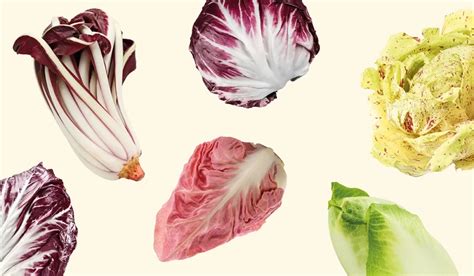 Collage di diverse varietà di radicchio rosso e variegato