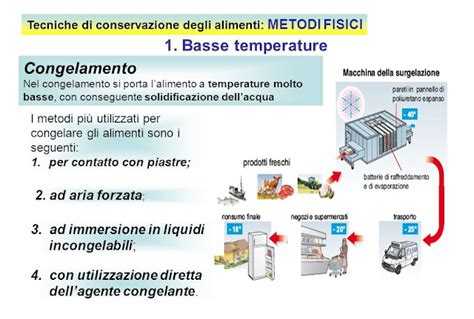 Infografica che confronta la formazione di macrocristalli (congelamento) e microcristalli (surgelazione)