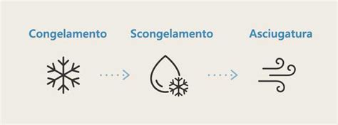 Illustrazione che mostra diversi metodi sicuri di scongelamento