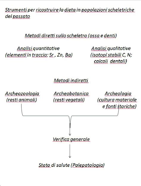 schema illustrativo dei passaggi chiave della preparazione dei savoiardi: montata tuorli, montata albumi, incorporazione polveri, formatura bastoncini e cottura
