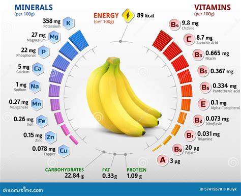 Infografica nutrizionale che confronta le calorie, le fibre, le vitamine e i minerali della Banana Blu di Java con quelli della Banana Cavendish.