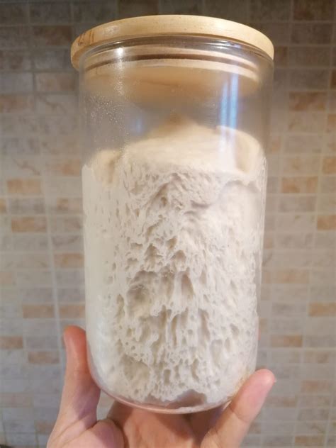 Illustrazione di un barattolo con pasta madre rinfrescata e raddoppiata di volume.