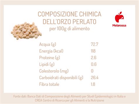 Infografica che mostra la composizione nutrizionale di 100g di orzo.