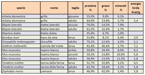 Infografica con i valori nutrizionali delle camole della farina essiccate.