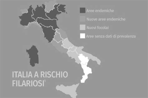Mappa dell'Italia con evidenziate le zone a maggior rischio di filariosi cardiopolmonare