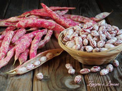 Immagine di fagioli borlotti secchi e freschi