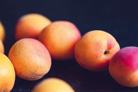 Varietà di albicocche per climi temperati